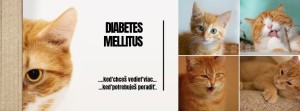 baner-na-web-diabetes.jpg
