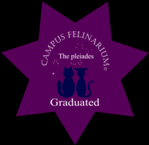 ple-small-star.png